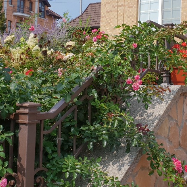 Кованое ограждение палисадника